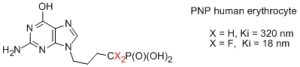 Inhibitor of purine nucleoside phosphorylase